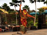chief's luau chief